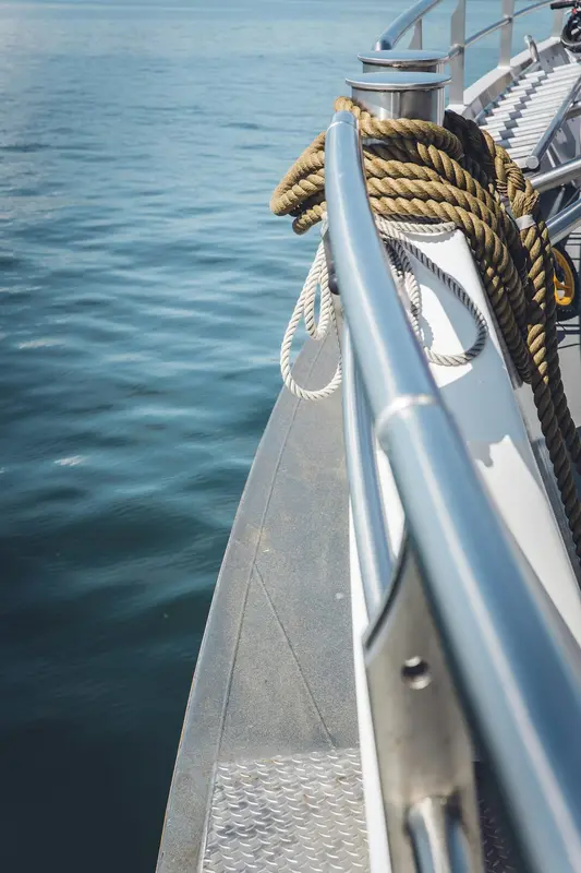 Shore.Boats Premium Domain